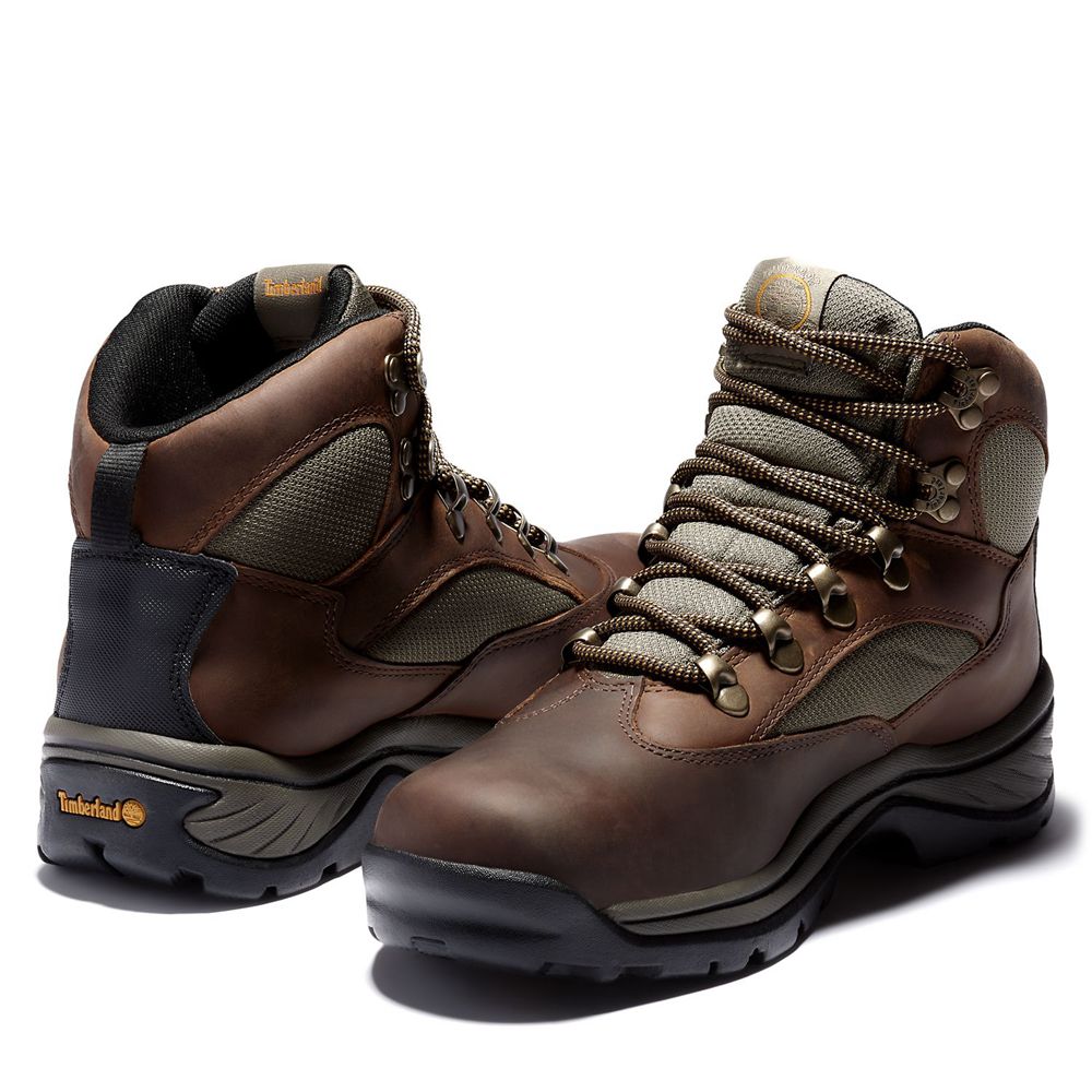 Botas de Montaña Timberland Mujer Chocorua Trail Mid Waterproof Marrones Oscuro - Chile OEY-039542